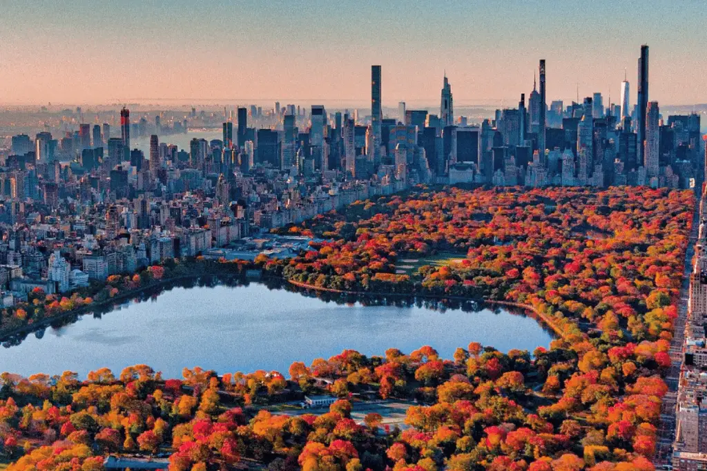 Fall in Love with NYC: Top Activities for Autumn 2024